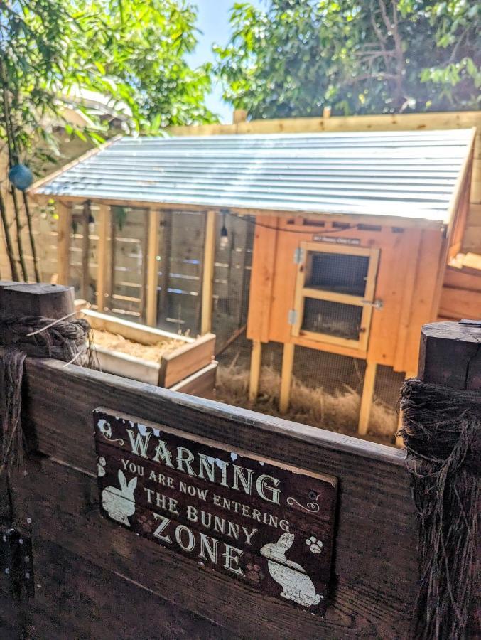 Cozy Af Tiny-House Oasis Villa Tampa Exterior photo
