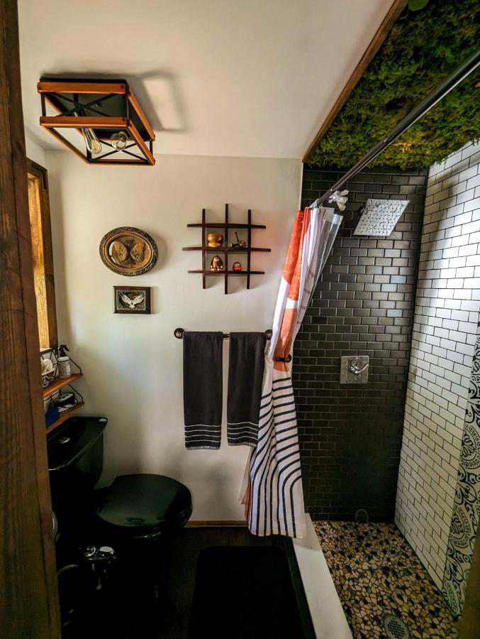 Cozy Af Tiny-House Oasis Villa Tampa Exterior photo