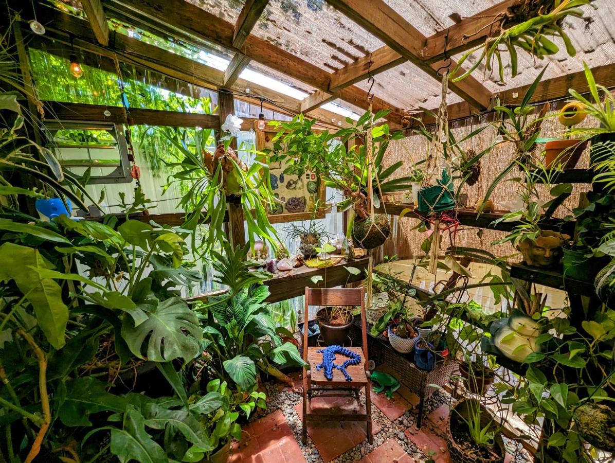 Cozy Af Tiny-House Oasis Villa Tampa Exterior photo
